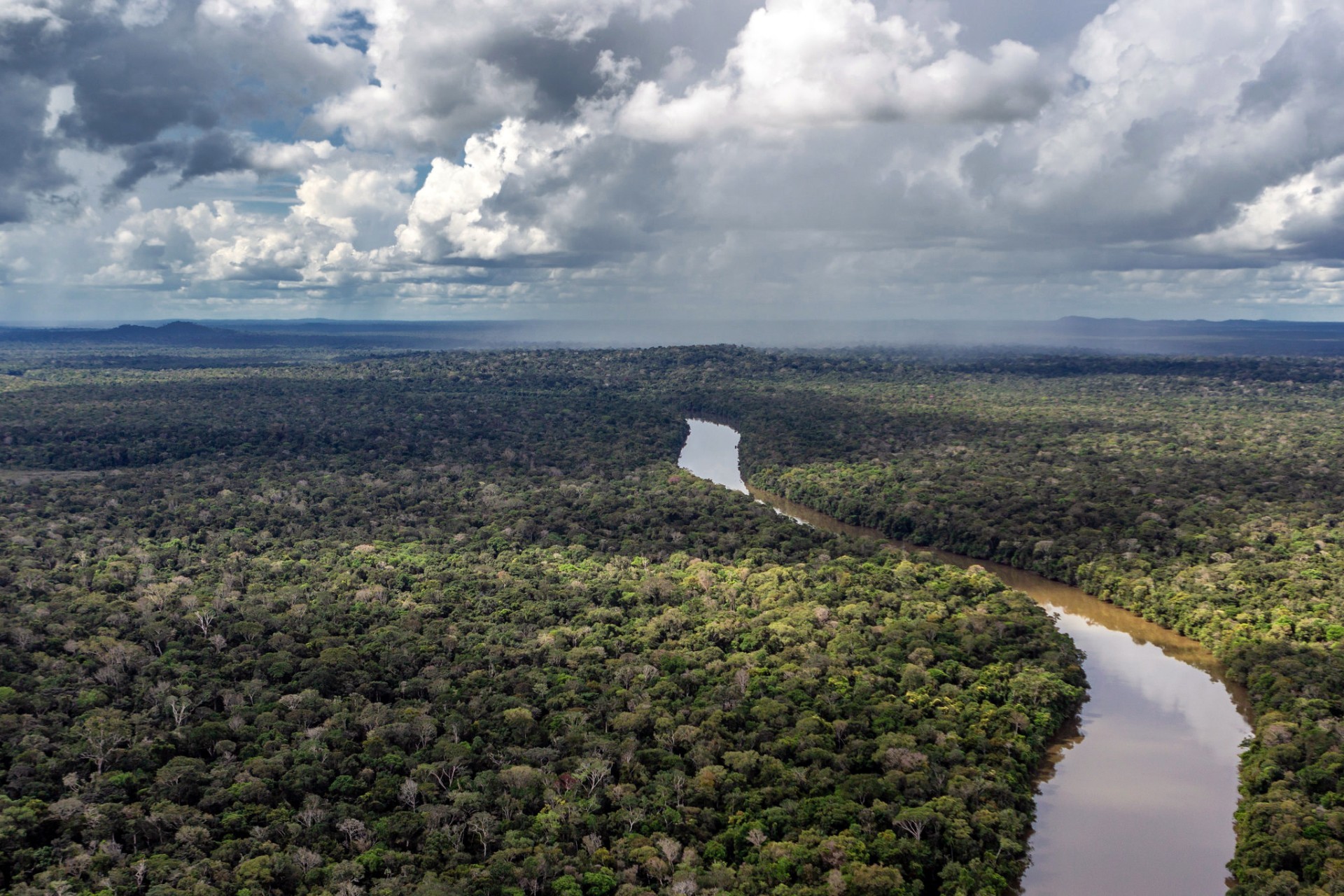 Saccheggiare e sterminare: perché Bolsonaro vuole le milizie in Amazzonia