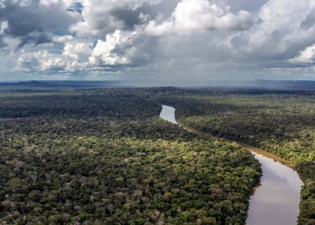 Saccheggiare e sterminare: perché Bolsonaro vuole le milizie in Amazzonia